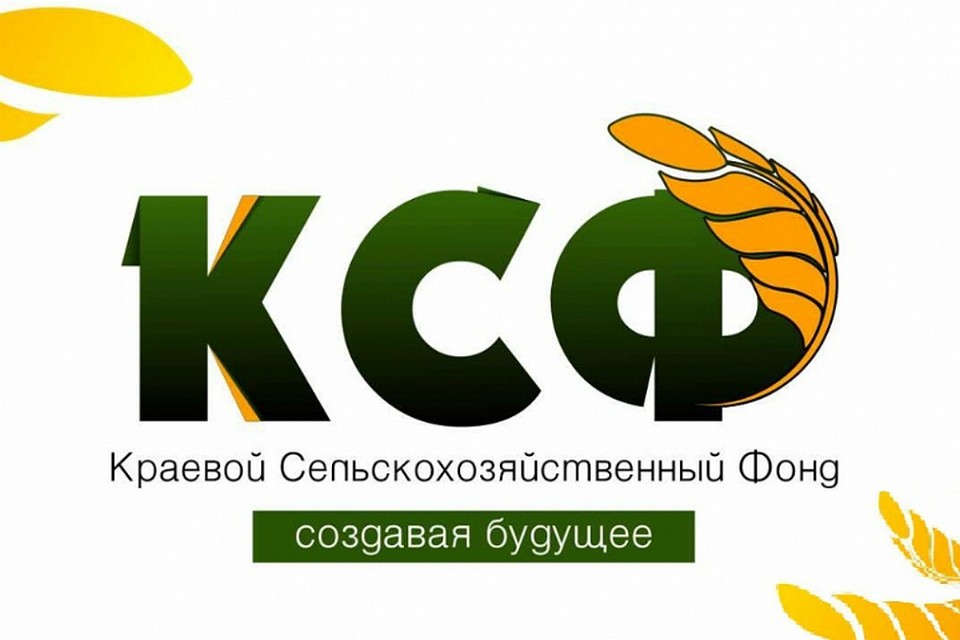 У сельхозфонда в Хабаровском крае сменилось руководство