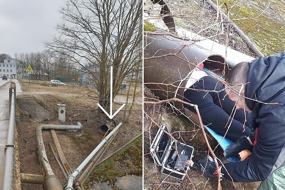 Спасатели из Петербурга проехали 150 километров до Ивангорода, чтобы достать из трубы кошку. Фото: vk.com/koshkispas