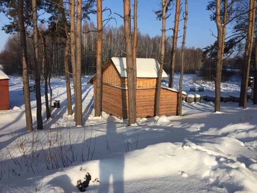 Фото: с сайта СУ СК по Тамбовской области