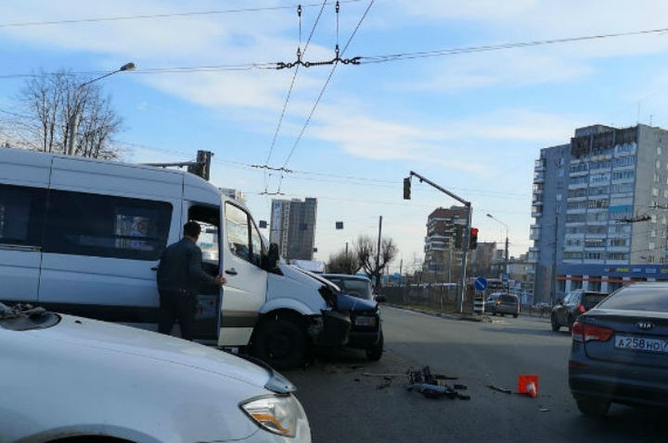 Фото: Всеволод Недвецкий.