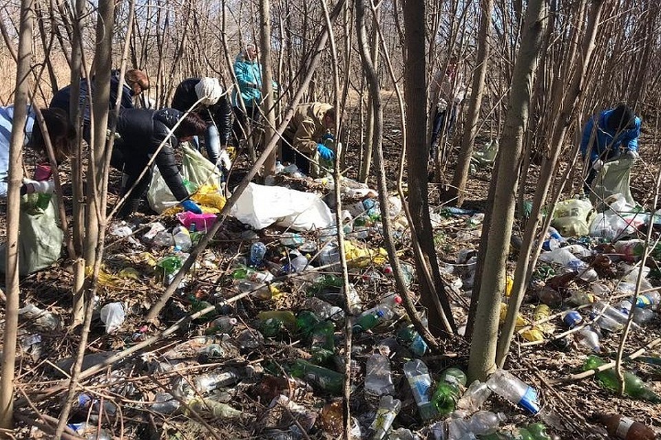 За время субботника жители города убрали больше тысячи гектаров. Фото: администрация Рыбинска.