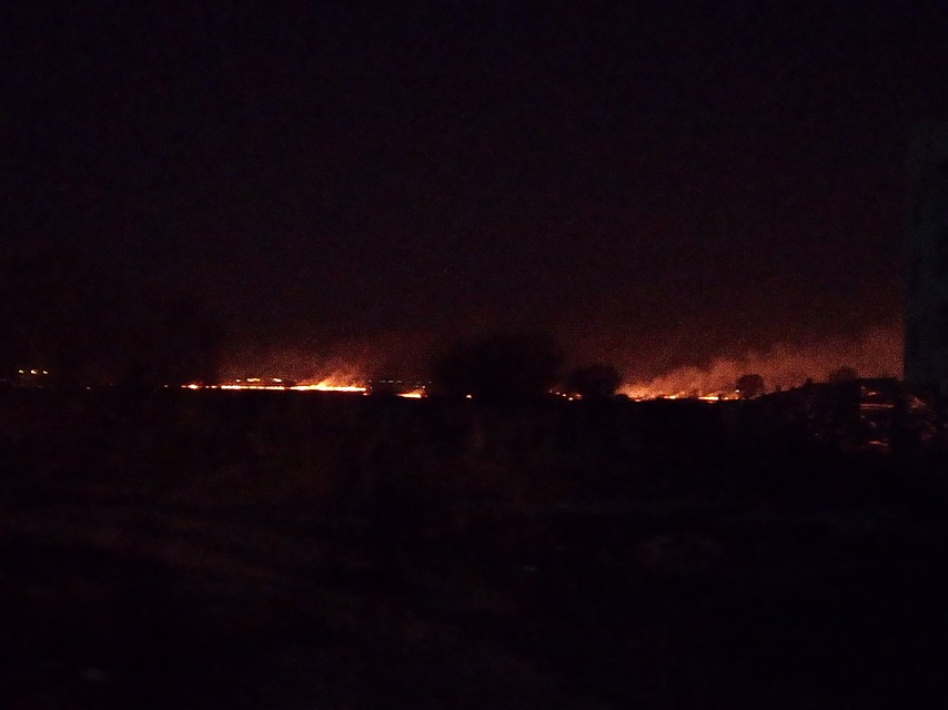 Поля под Рязанью не могут потушить уже несколько часов.