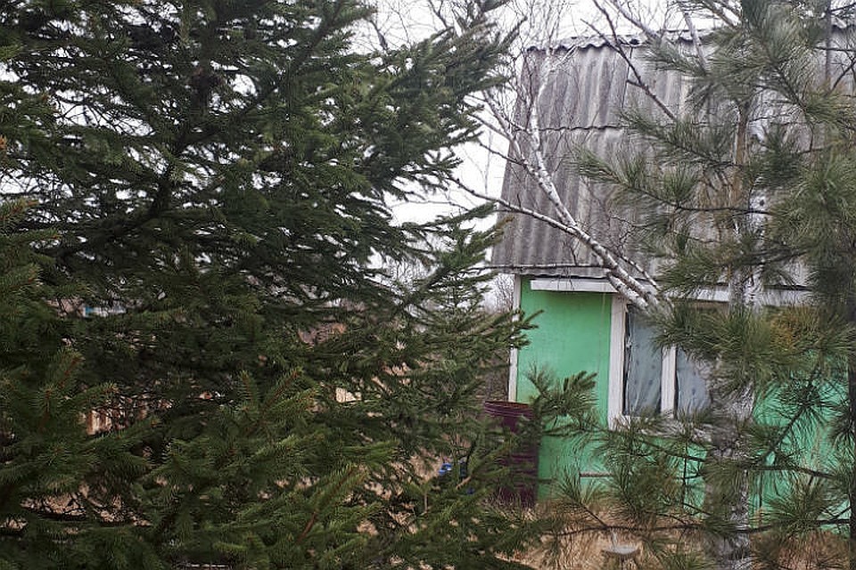 Погода в Хабаровске на 20 апреля 2019 года: днем до +12 градусов