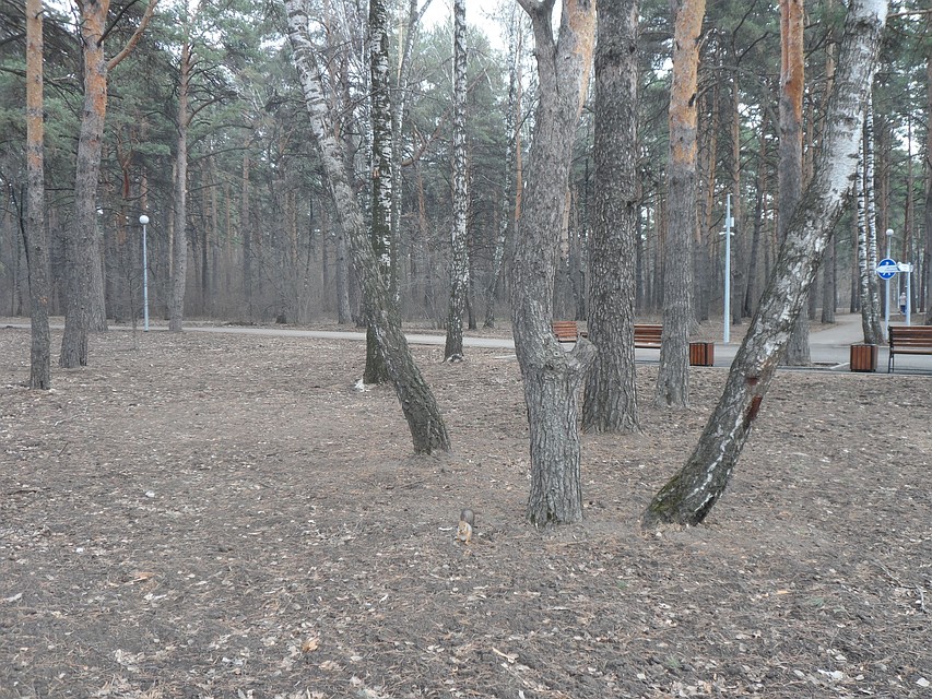Погода 26 апреля в Тюмени: холодно и пасмурно