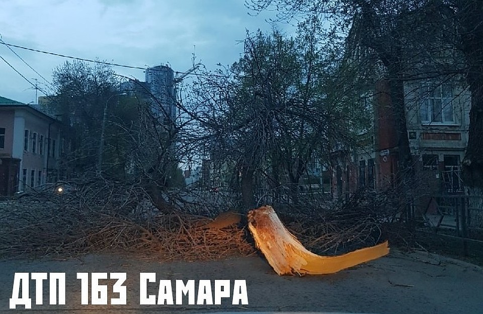 Из-за сильного ветра рухнуло дерево на пересечении Садовой и Красноармейской / Фото: ДТП 163 Самара