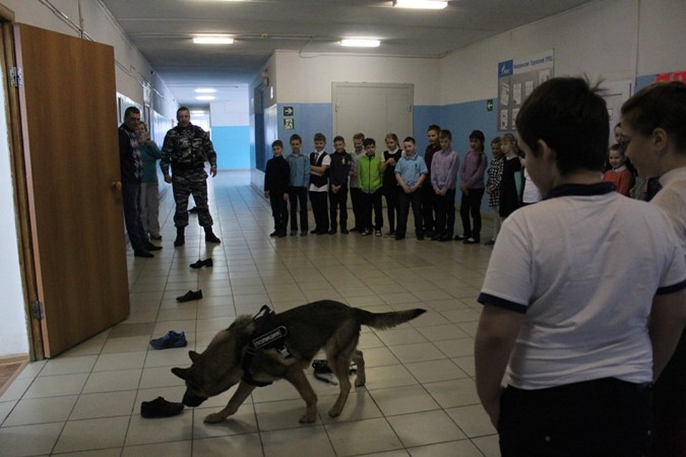 Фото: МО МВД России «Серовский»