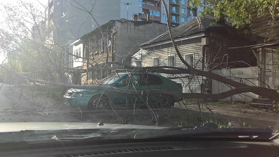 Дерево повредило автомобиль