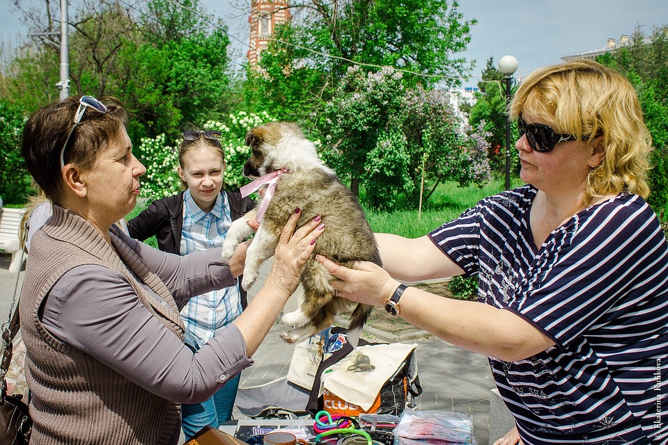 Фото: Екатерина Куликова.