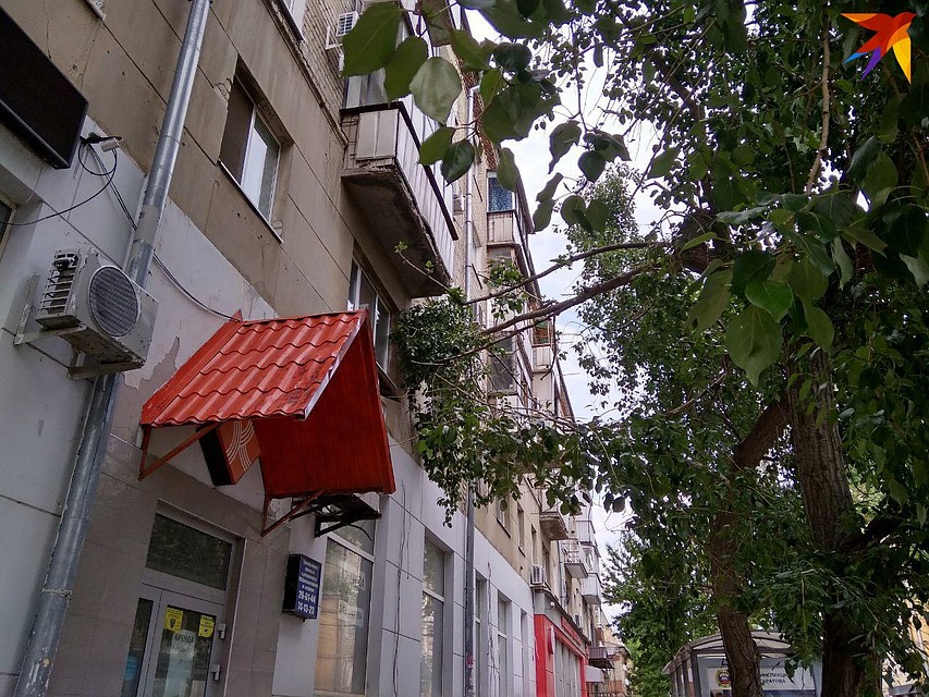 На дом рухнула ветка дерева