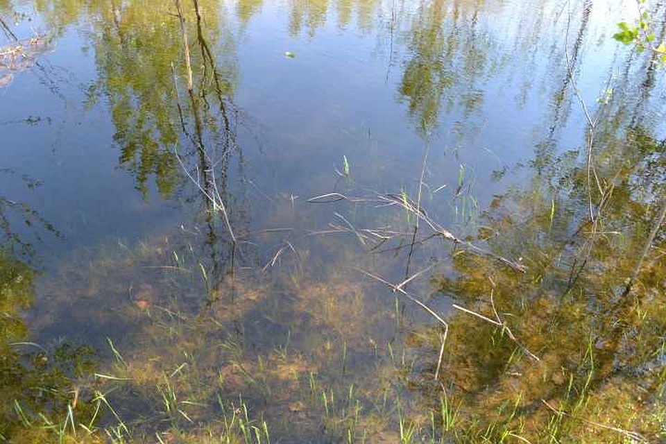 Брат с сестрой обманули маму и отправились на речку купаться.