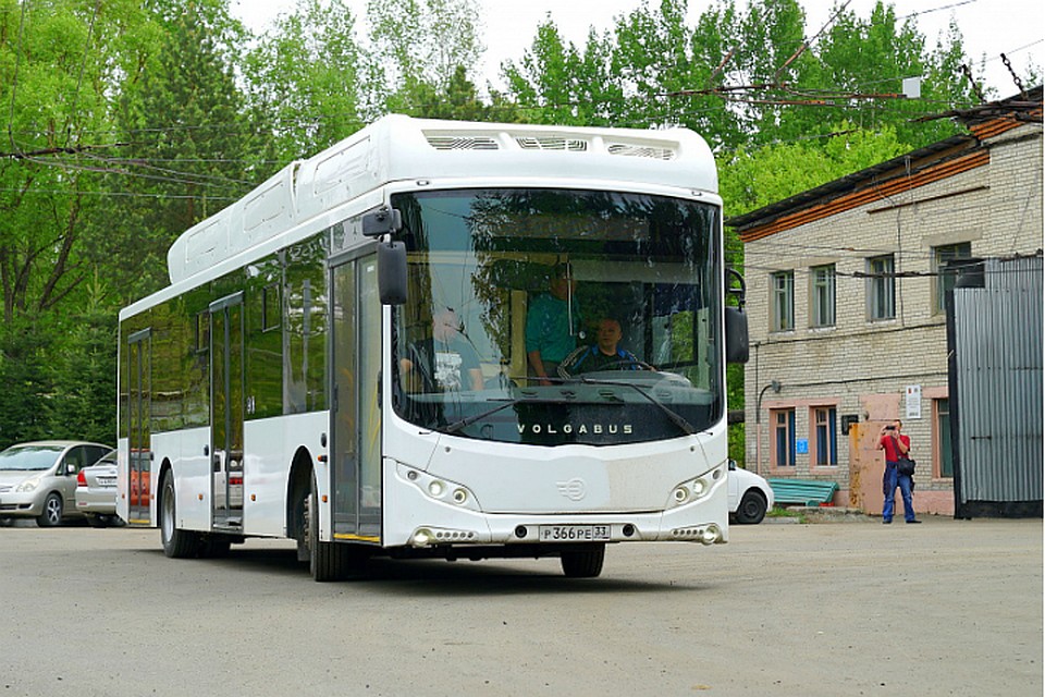 Вместо троллейбуса в Хабаровске будет курсировать электробус