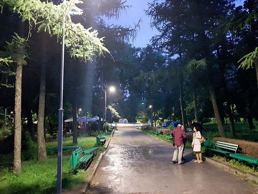 В парке гулять опасно. Фото: locals.md