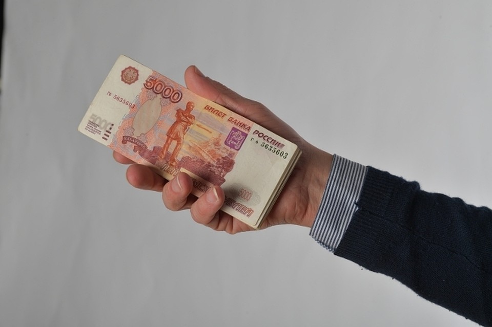 Частным садам в Хабаровском крае помогут субсидиями