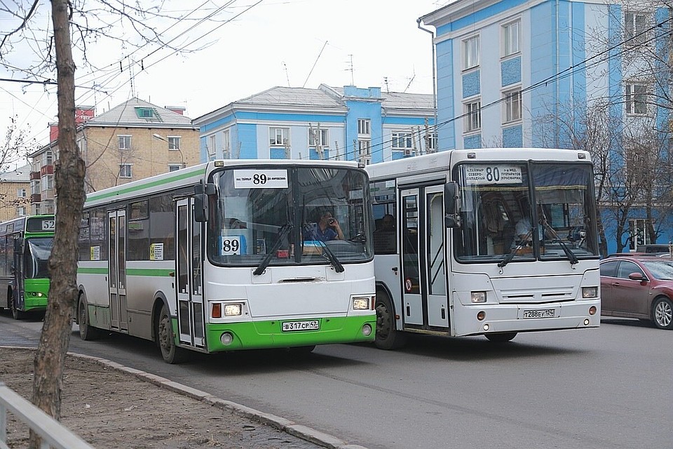 Все автобусы Красноярска оформят в едином стиле.