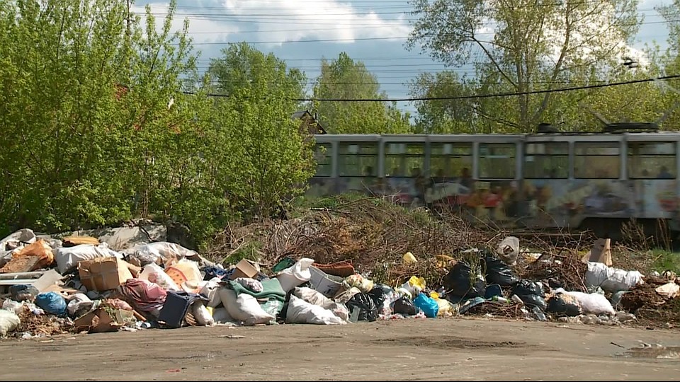 Скриншот видео Бийского ТВ.
