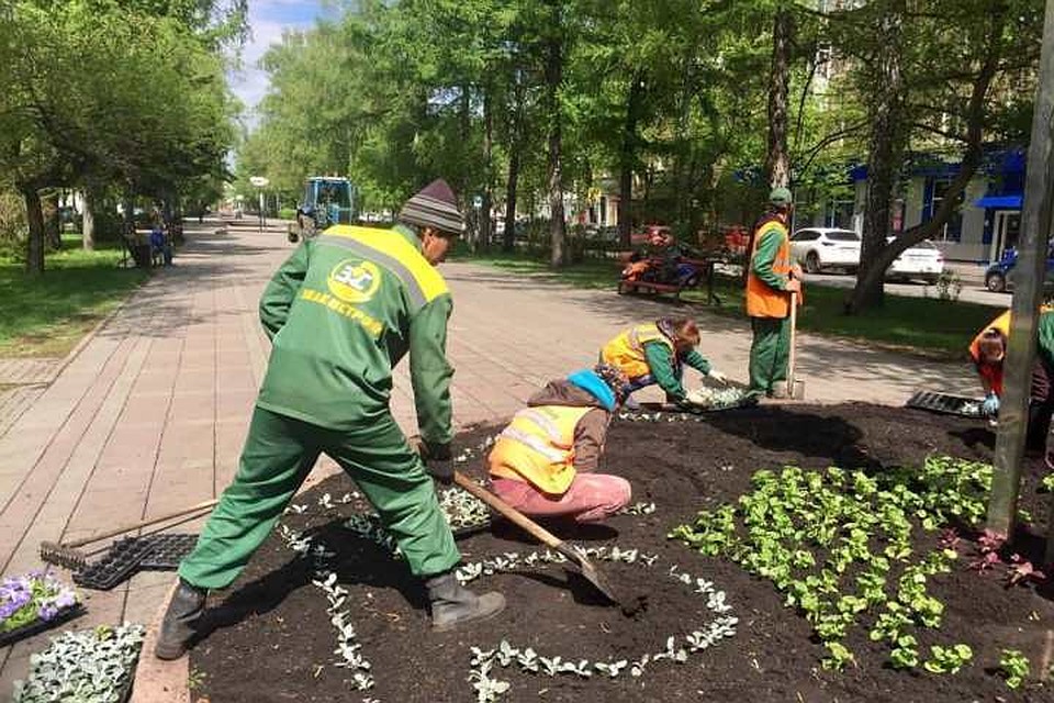 В Кемерове высадят больше миллиона цветов Фото: ilyaseredyuk / Instagram