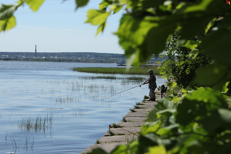 «Комсомолка» рассказывает, что произошло в городе, пока вы спали