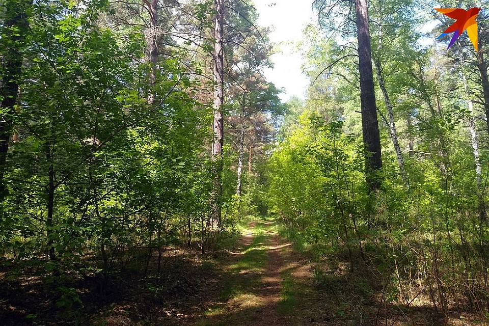 В Барнауле ожидается жаркая погода.