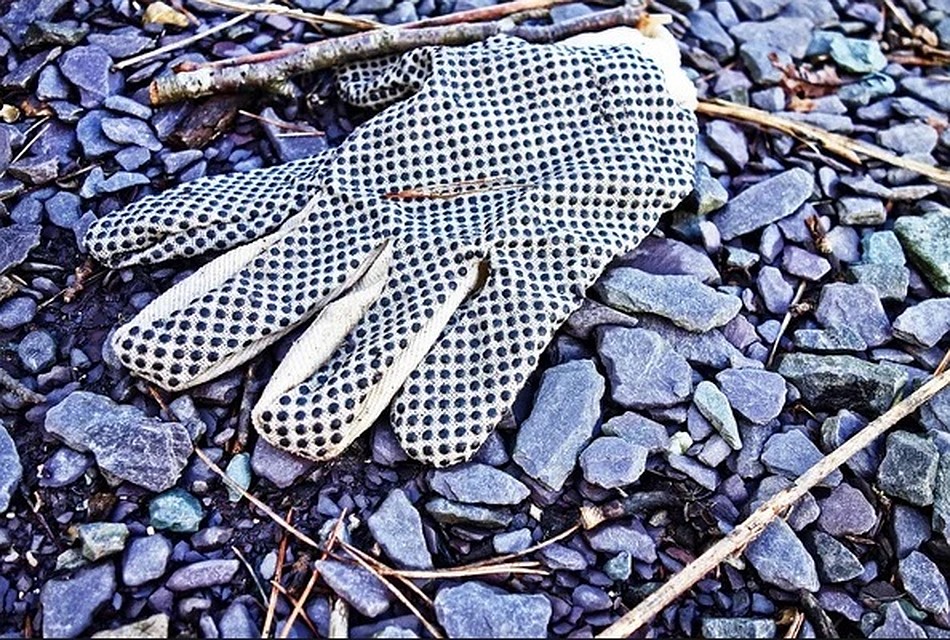 Фото: pixabay.com