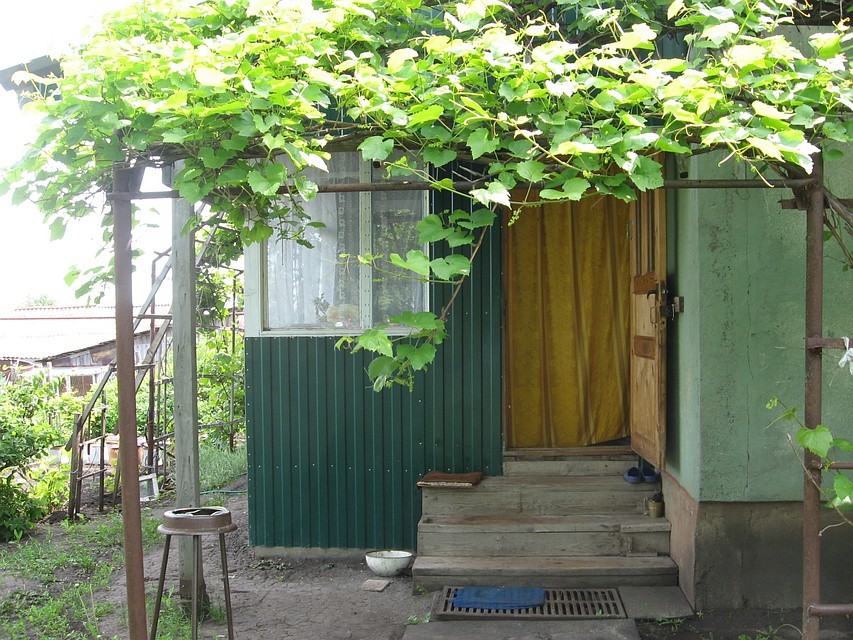 Фото СУ СКР Саратовской области