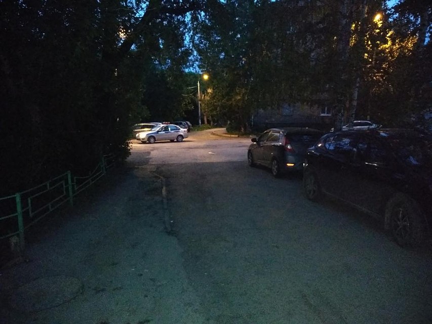 Фото: ГУ МВД по Пермскому краю.