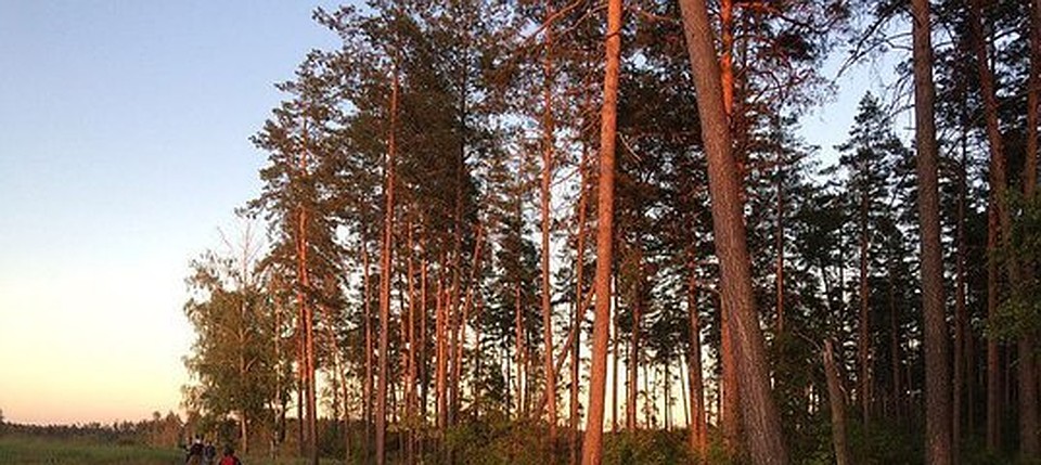Спасатели не рекомендуют местным жителям находиться на жаре и просят соблюдать правила пожарной безопасности.