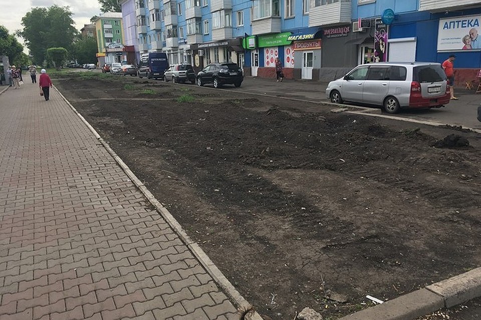 В Красноярске собственник потребовал убрать с газона высаженные березы и рябины. Фото: Роман Казаков