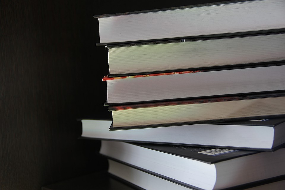 А какие книги предпочитаете вы?
