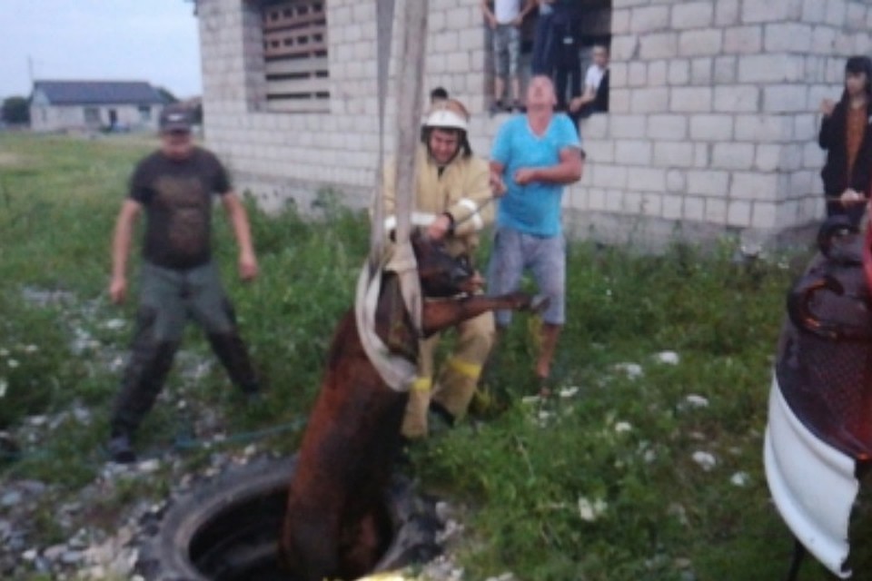 Фото: пресс-служба МЧС Северной Осетии