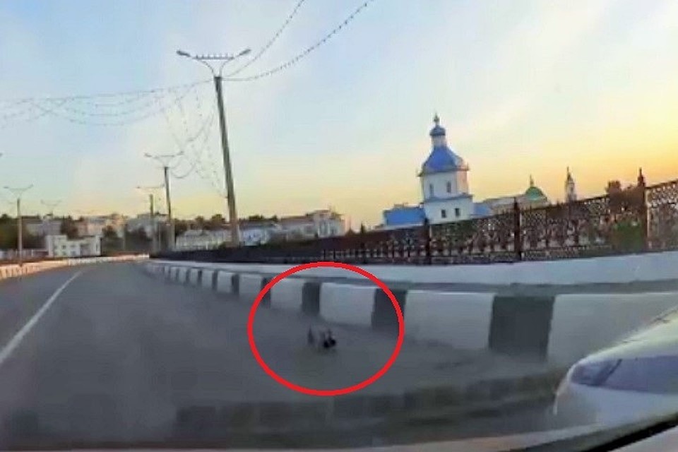 Фото: скриншот с видео