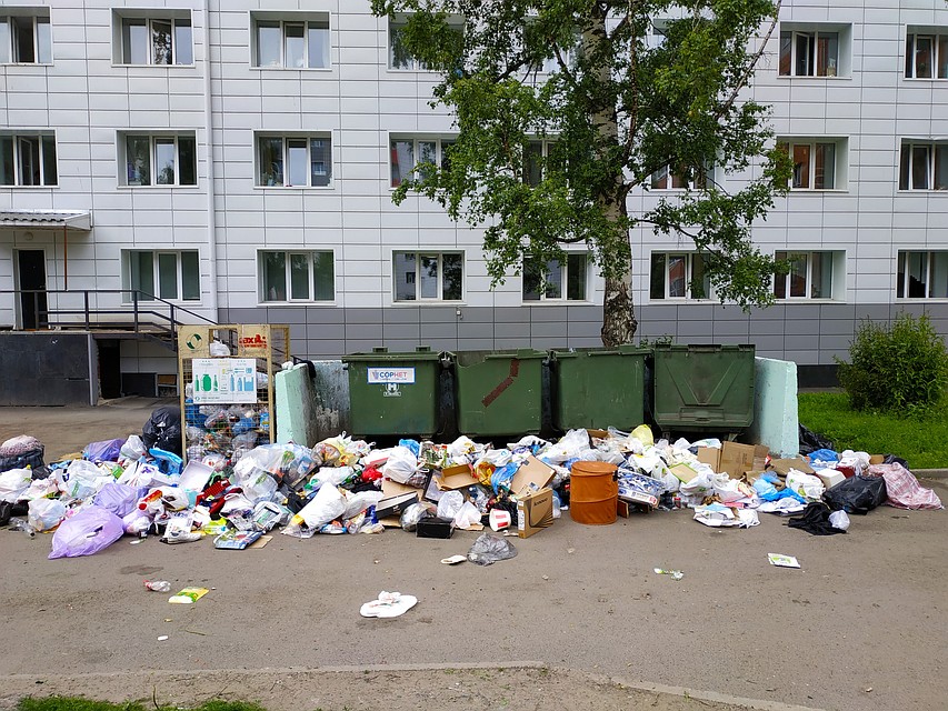 Картина маслом: переполненные баки по всему городу Фото: Софья СЕВОСТЬЯНОВА