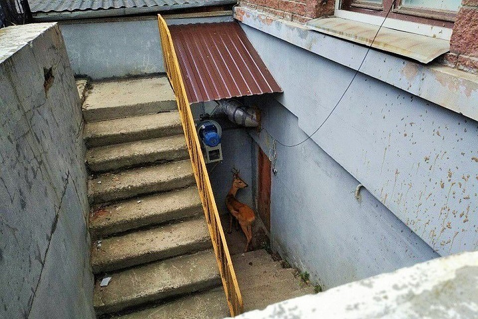 Фото: соцсети