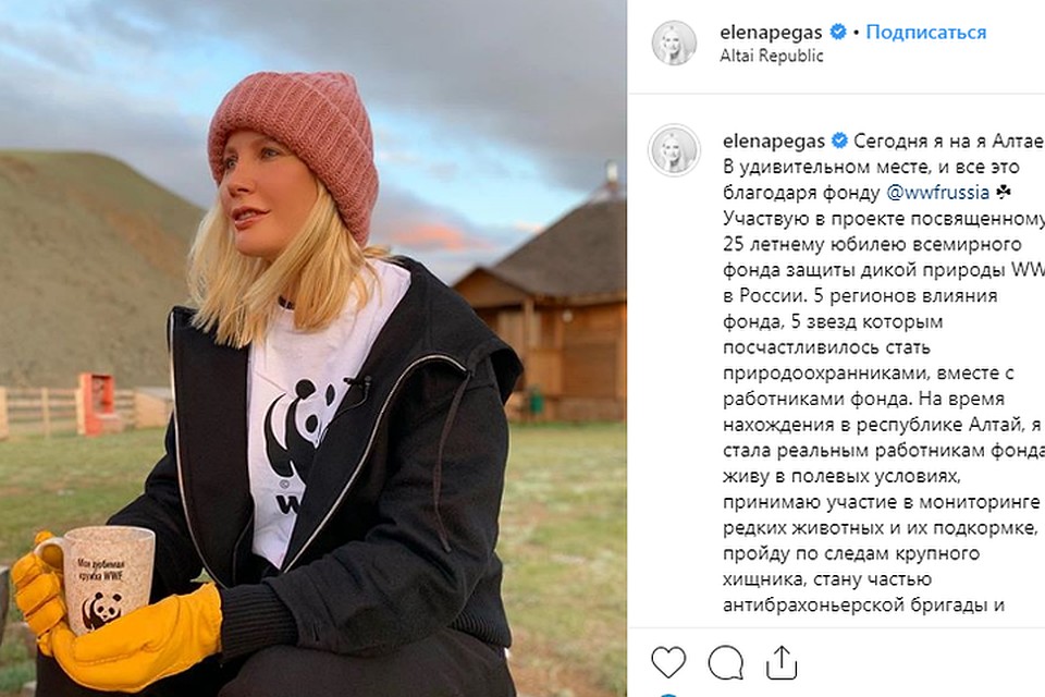 Скриншот @elenapegas