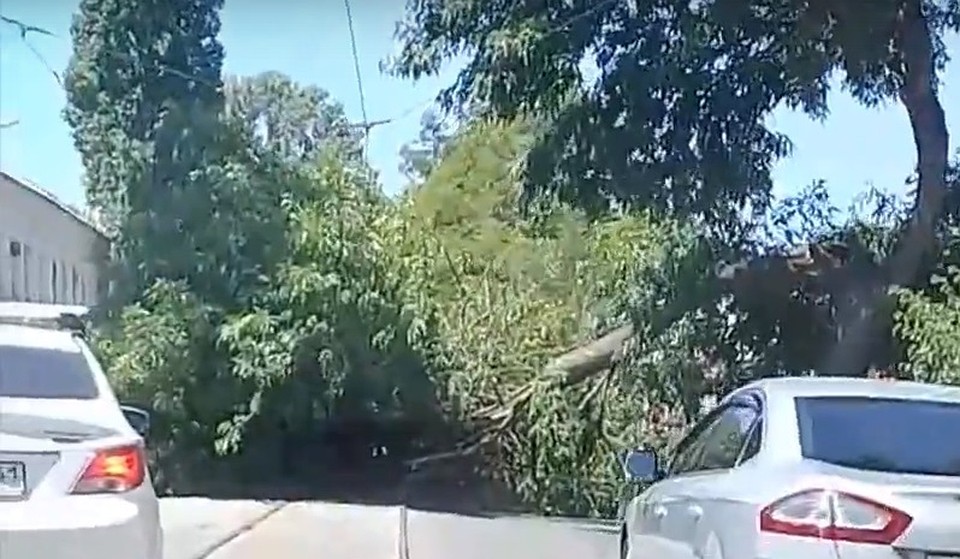 Стоп-кадр из видео группы ВК "Ростов Главный".