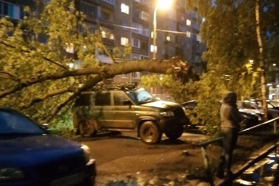 Дарья Сухих