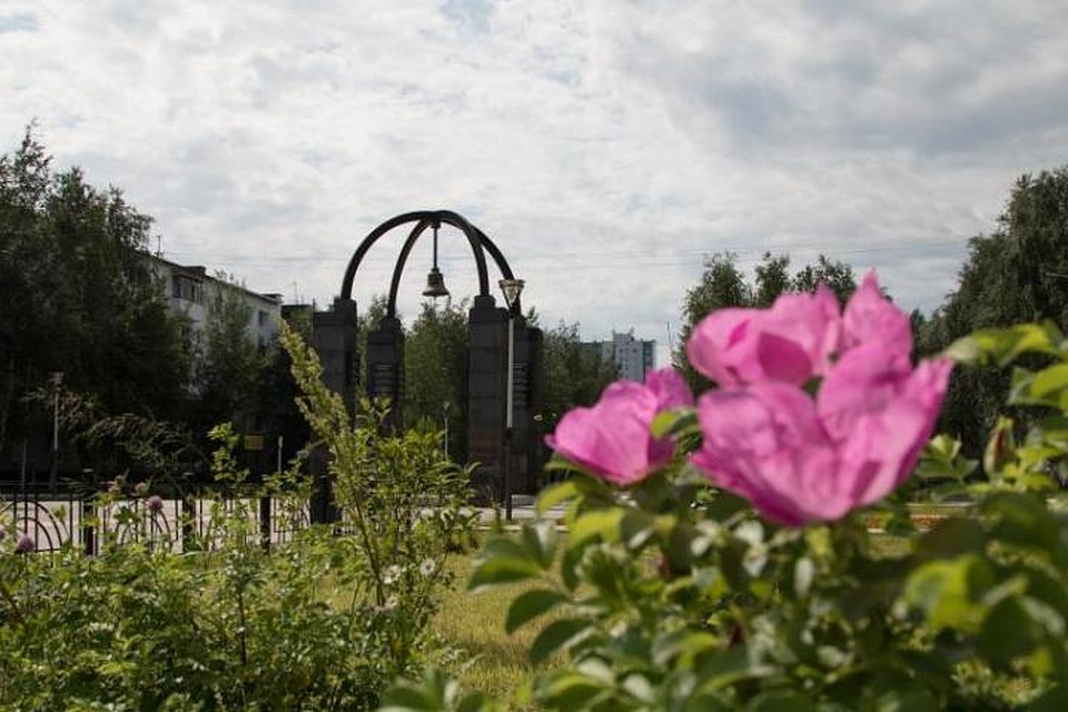 В Нижневартовске появятся цветущие изгороди. Фото с сайта администрации города Нижневартовск