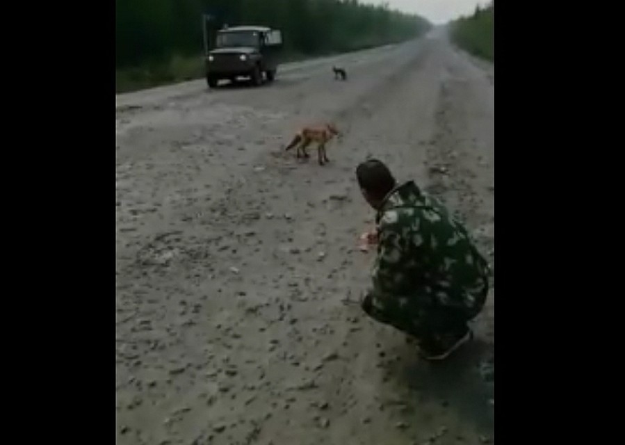 Фото: соцсети