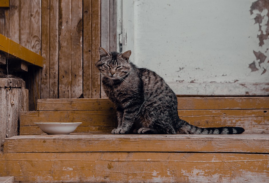 Фото: Алексей Потапов
