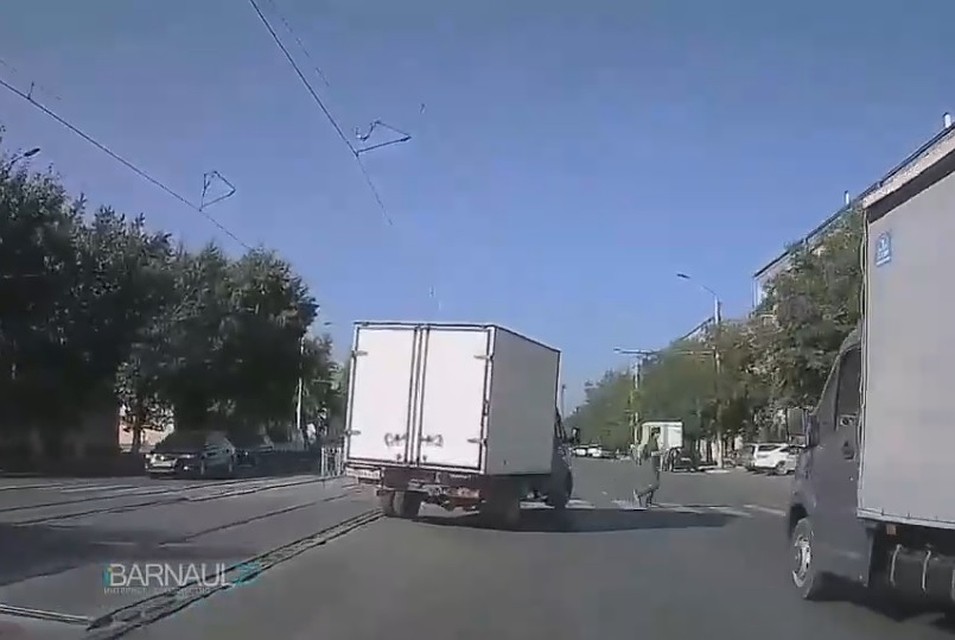 Фото: кадр с видеорегистратора