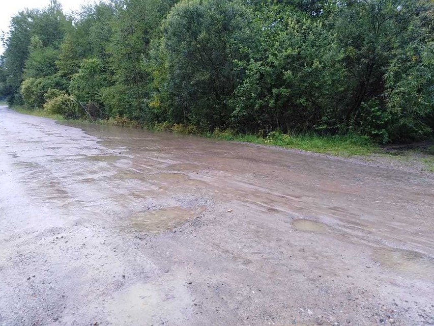 Лесную дорогу к поселку затопило. Фото: «Гражданский патруль»
