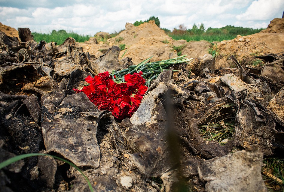 В Тверской области захоронили останки 281 красноармейца Фото: пресс-служба правительства Тверской области