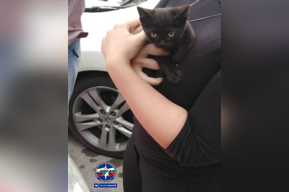 Этого малыша вытащили из-под машины. Фото: «Спасатели МАСС 16+»