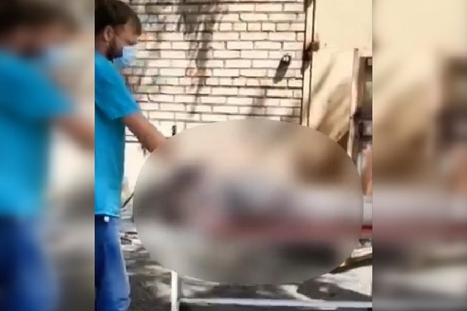 Происходящее шокировало родственников умершей