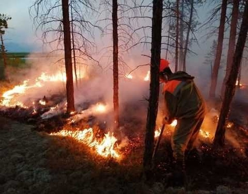 За прошедшие сутки в республике ликвидировано 13 пожаров в зоне контроля.