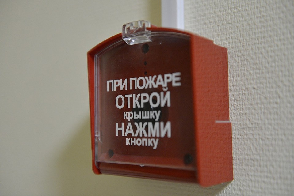 Фото: Архив "КП"
