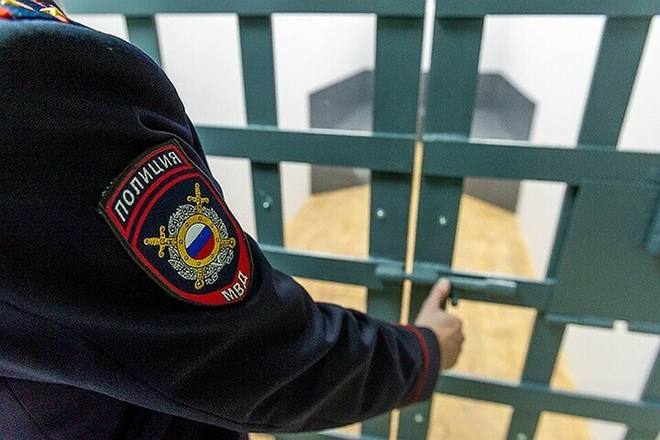 В Туапсинском районе мужчина вырастил во дворе 88 кустов конопли