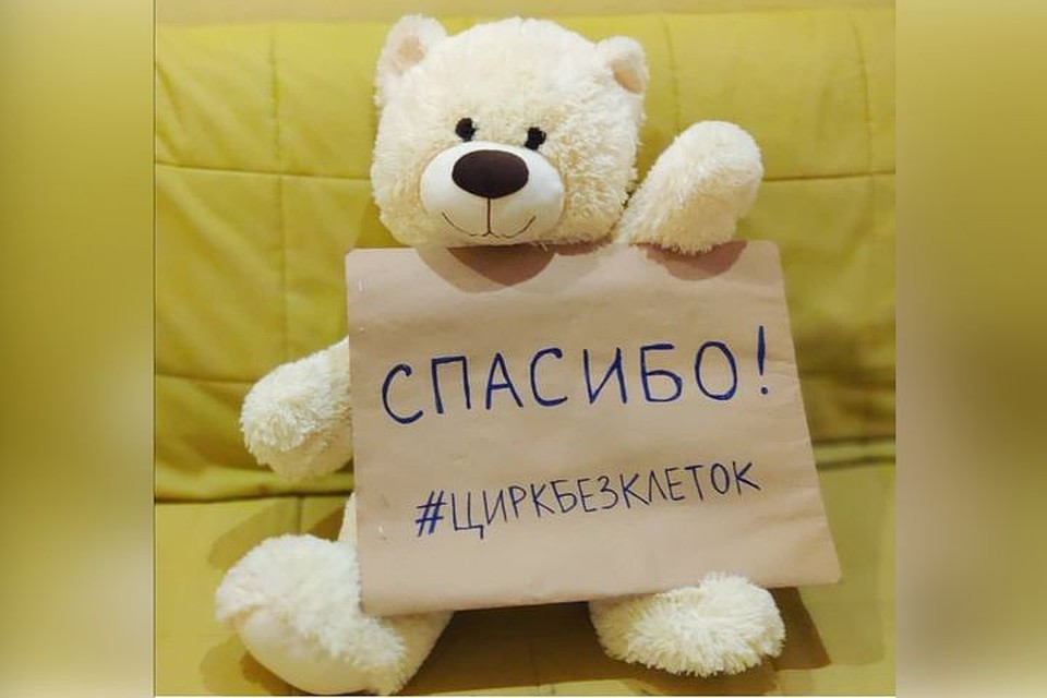 Сибиряки призывают цирк-шапито отказаться от шоу с животными. Фото: Instagram ya_bez_paketa