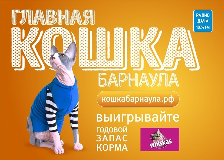 Предоставлено организатором