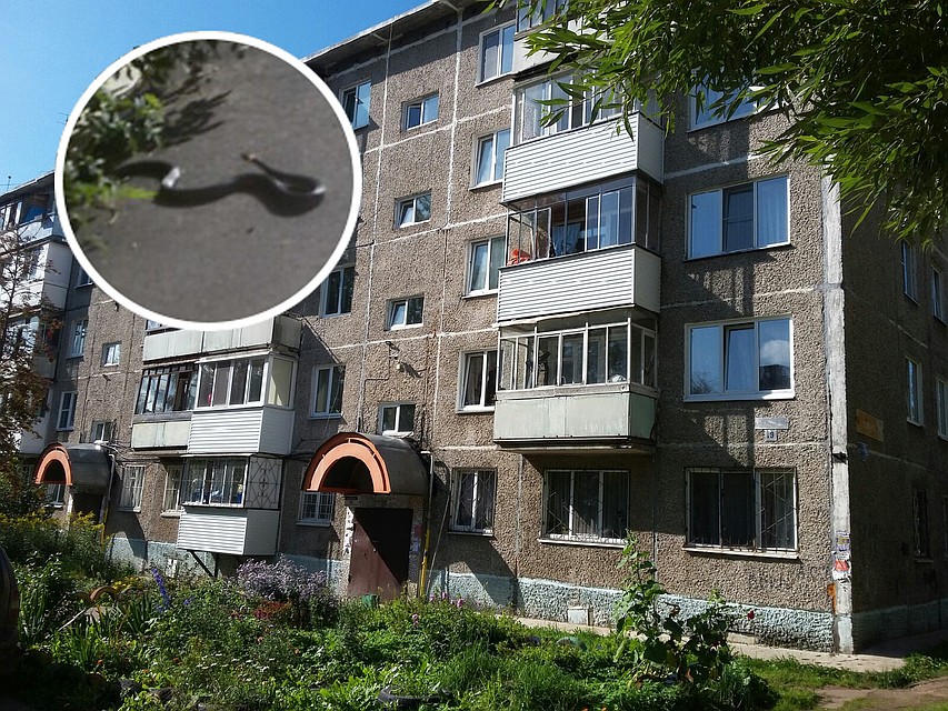Родители опасаются за безопасность детей