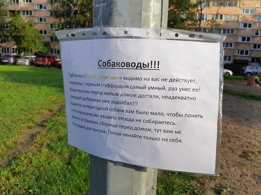Фото: СОЦСЕТИ